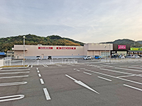 「ドラッグコスモス下加茂店 電気設備工事」